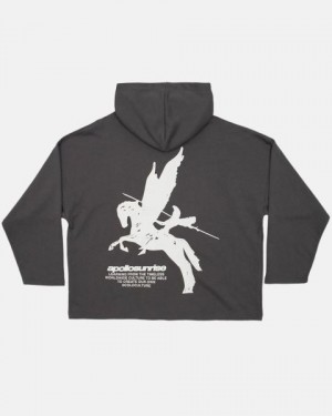 Cold Culture Pegaso Hoodie Dark Grey | 96587-FVBD